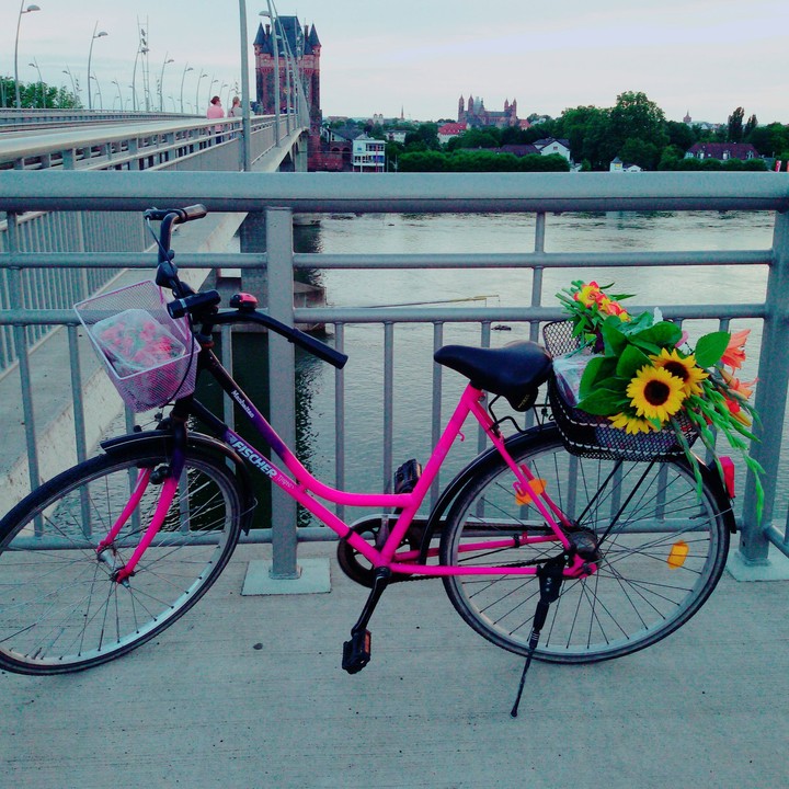 bicycle