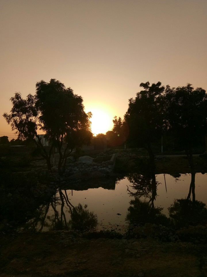 my camera picture in nature