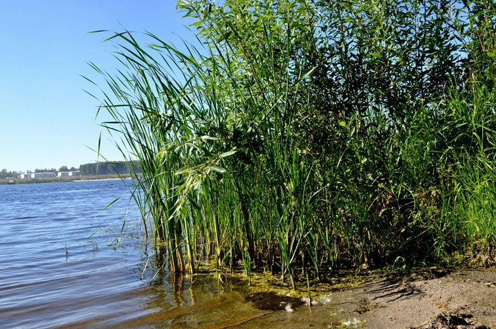 lake