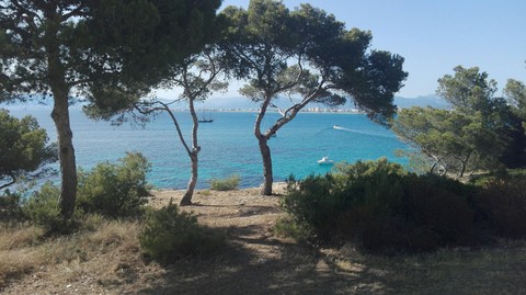 Mallorca Beach
