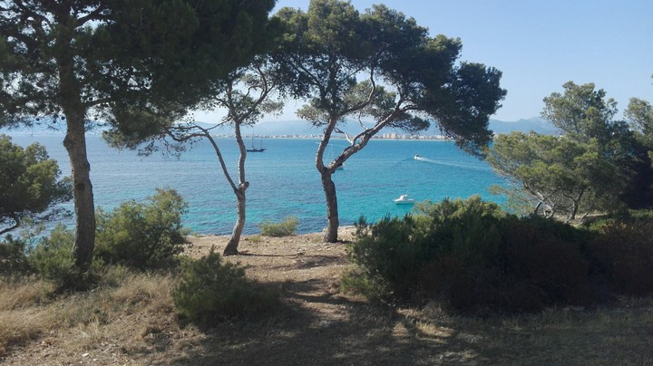 Mallorca Beach