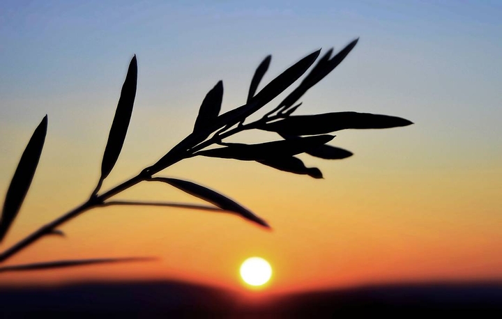 Sonnenuntergang