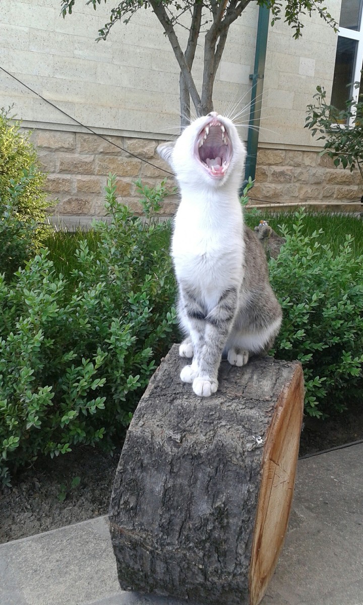funny moment )