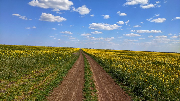 Безграничная природа.