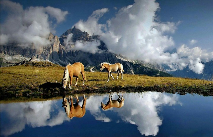 Dolomites - Alps