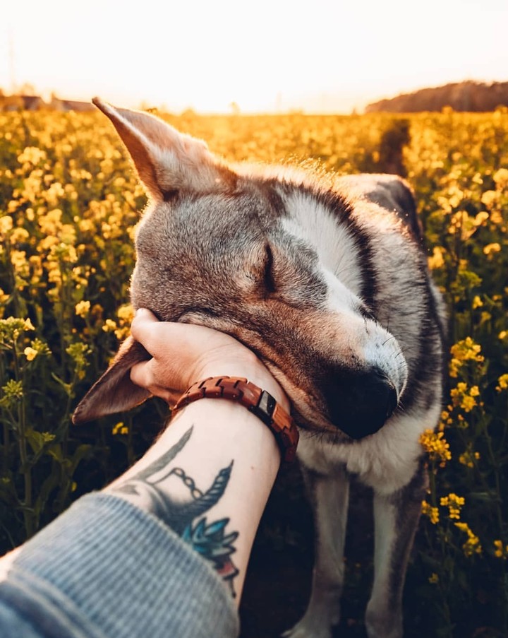 ❤️