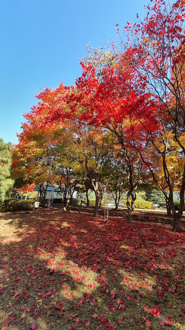 fall