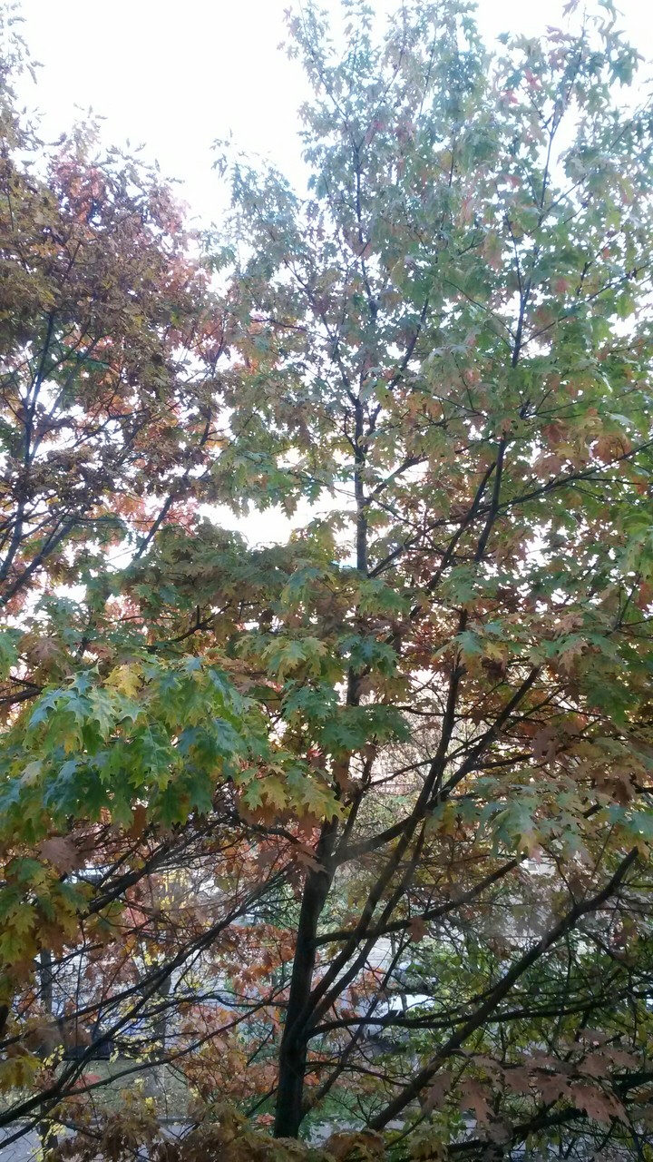 привет осень