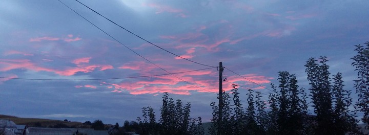 pink