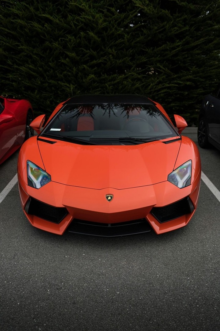 Lamborghini