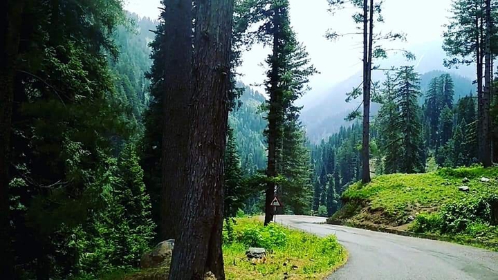 Jammu & Kashmir