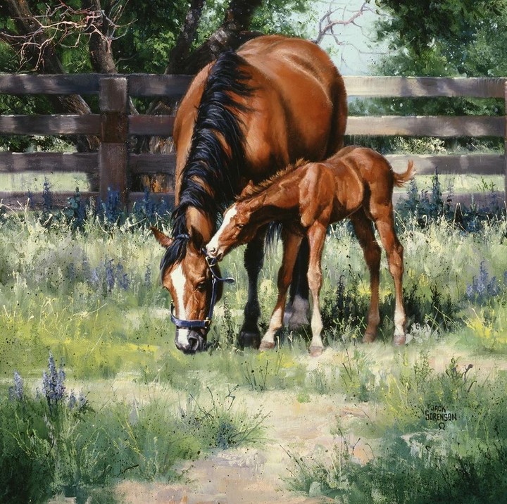 horse