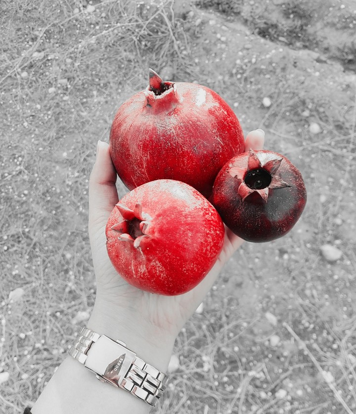 abundance
