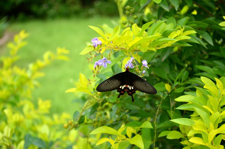 Beautiful Nature...!!