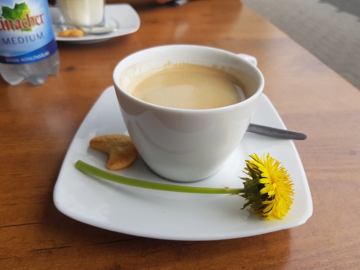 Tea cup