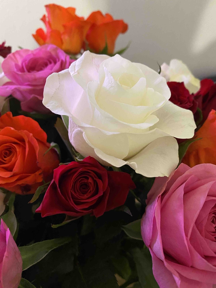 roses