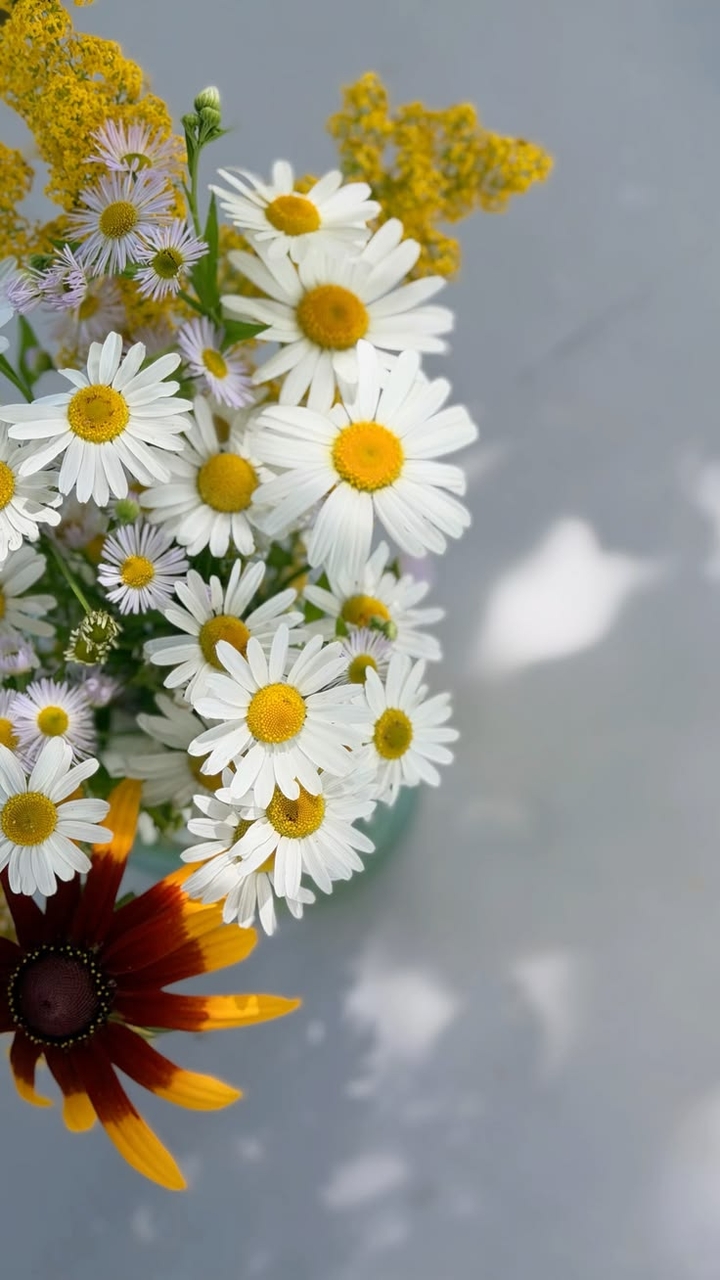 обои flower, Yellow