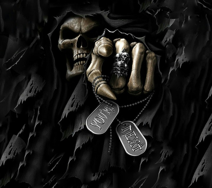 skull