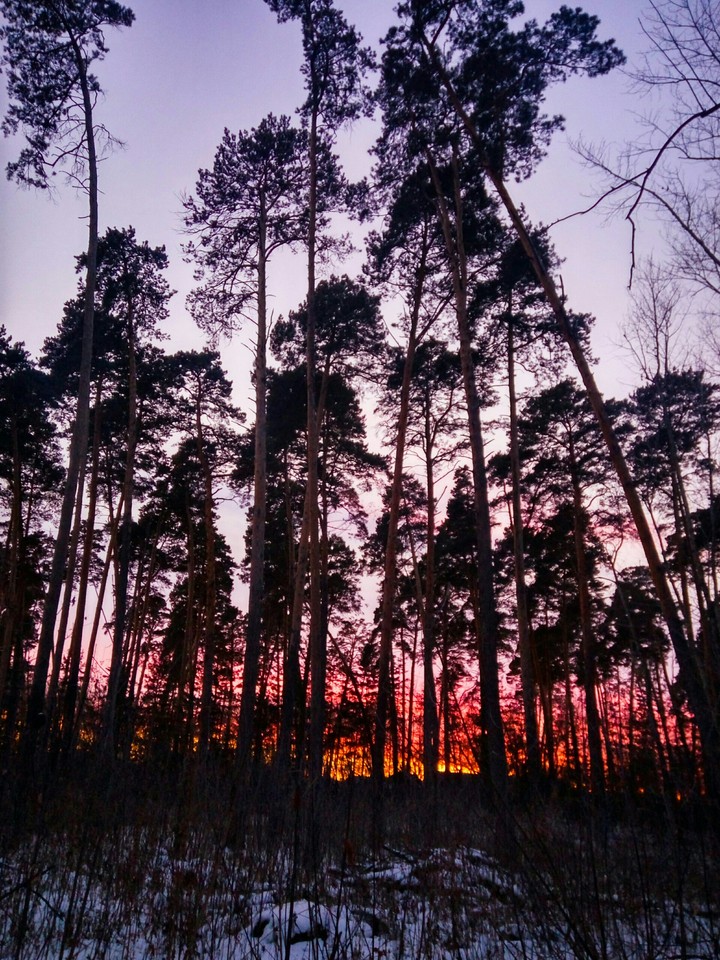 Пламенный закат