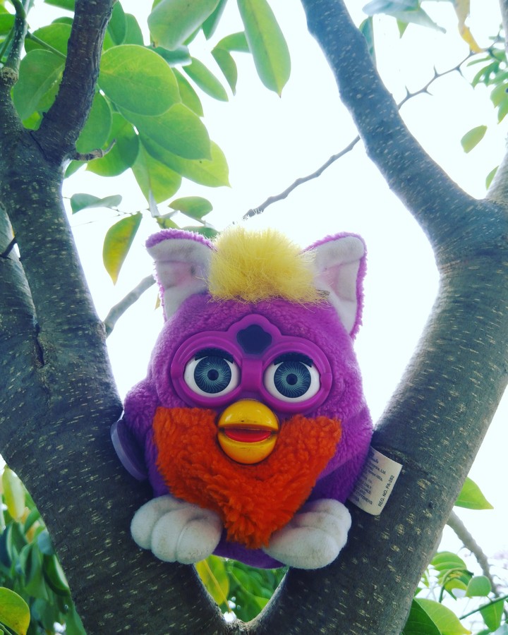Lord Furby