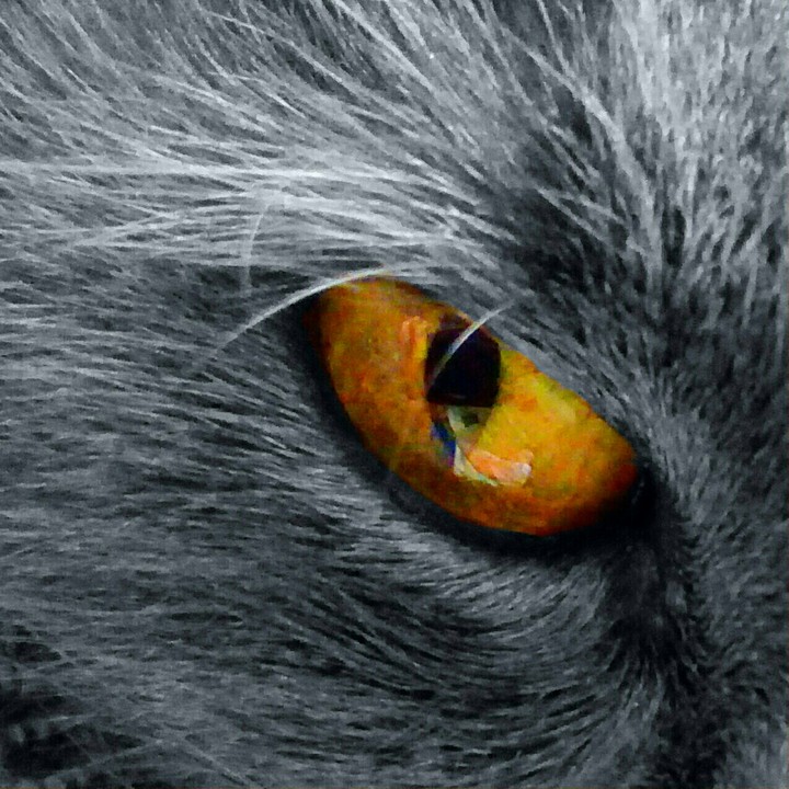 Взгляд. Sight.