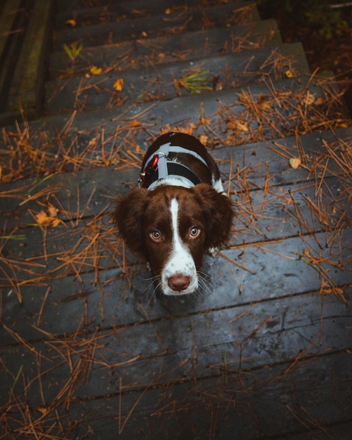 ❤