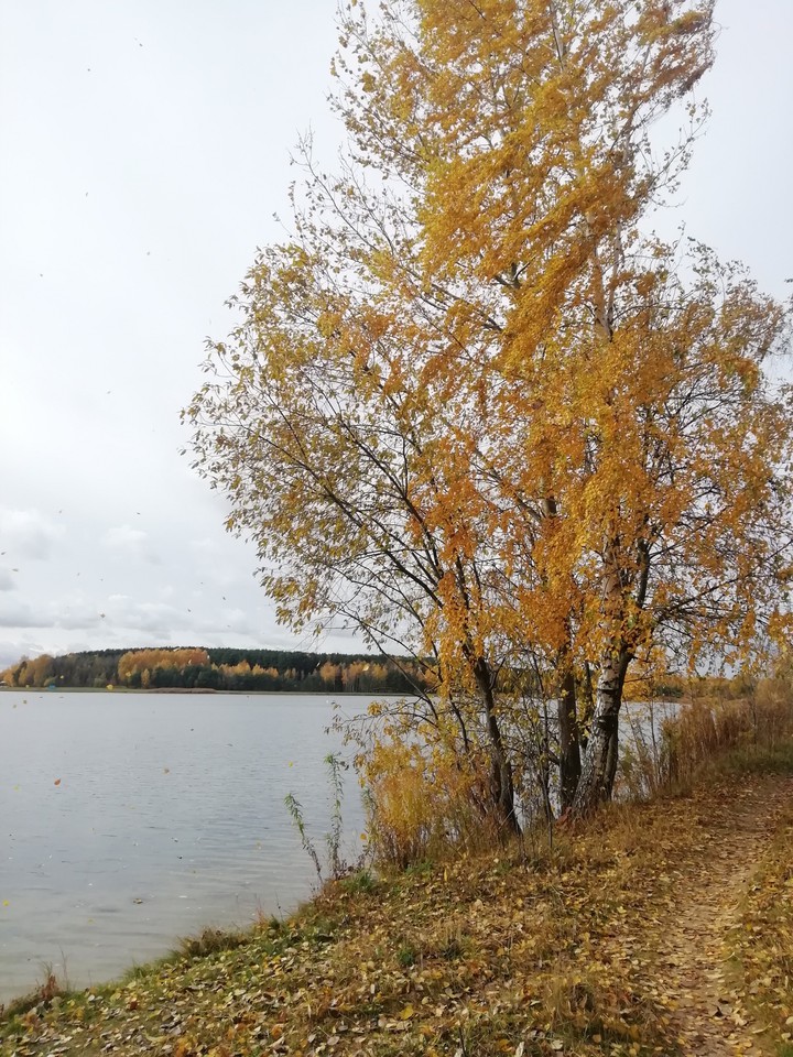 Autumn