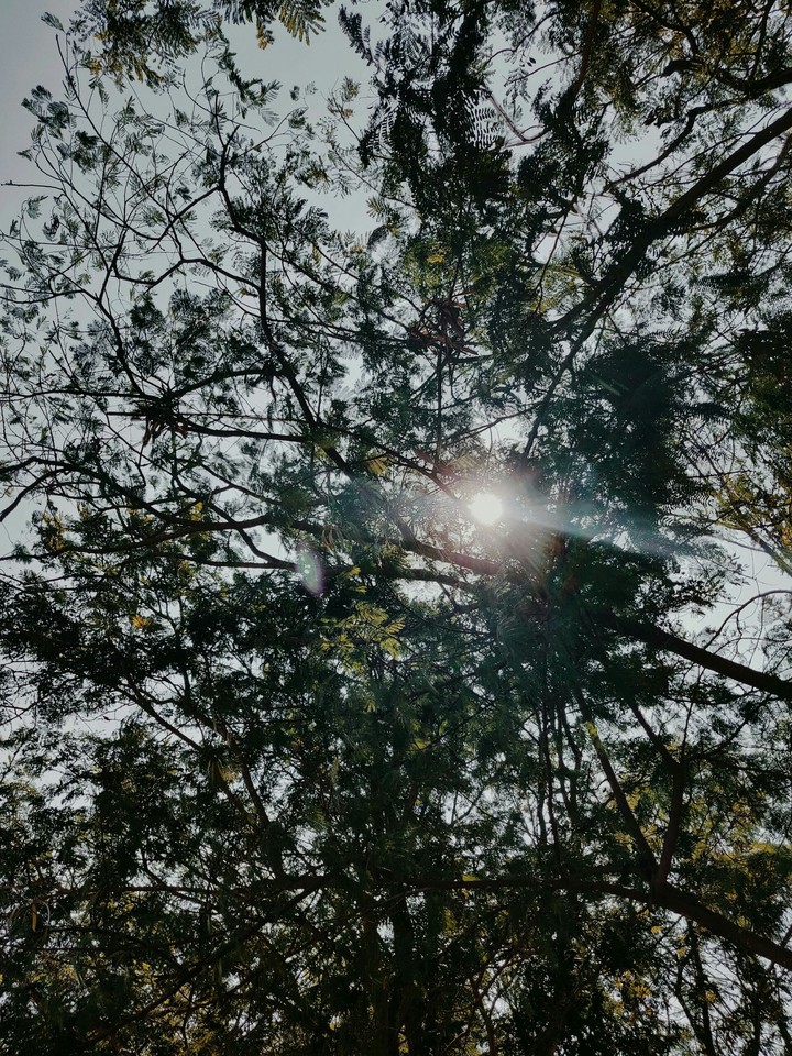 sun peek
