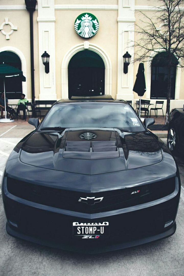 mustang
