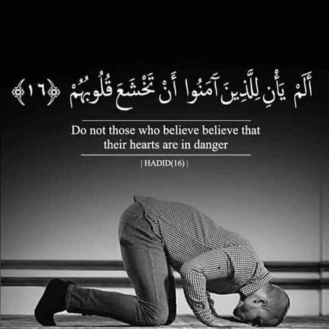 Islam /Quran ?