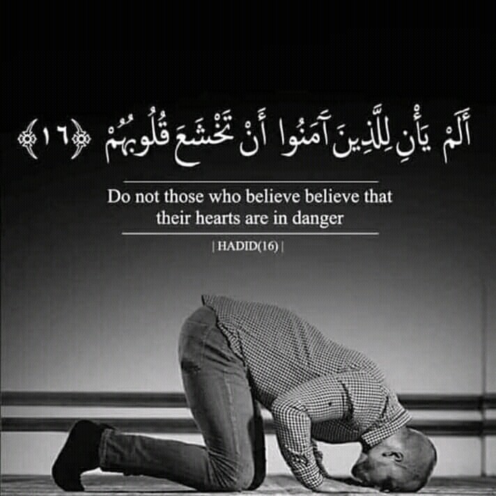 Islam /Quran ?