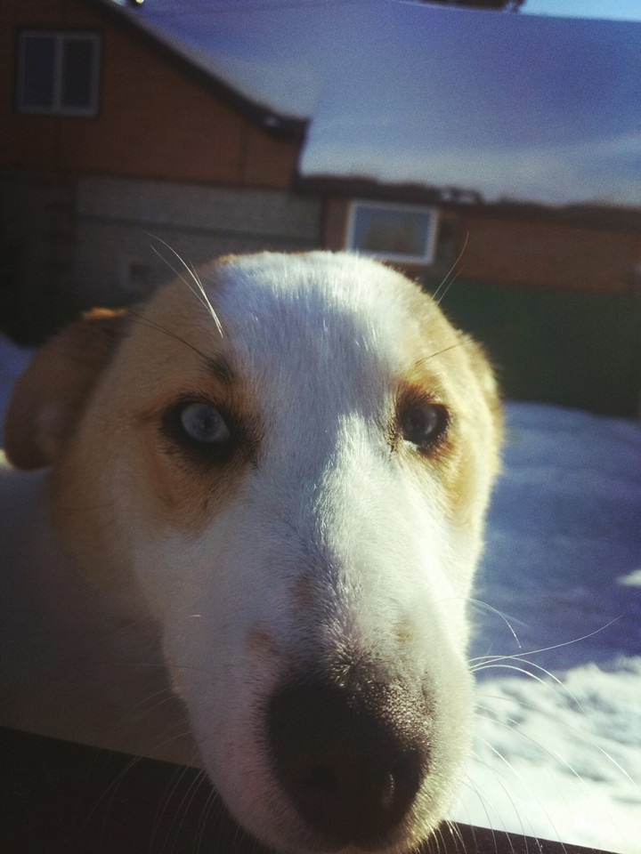 ❄