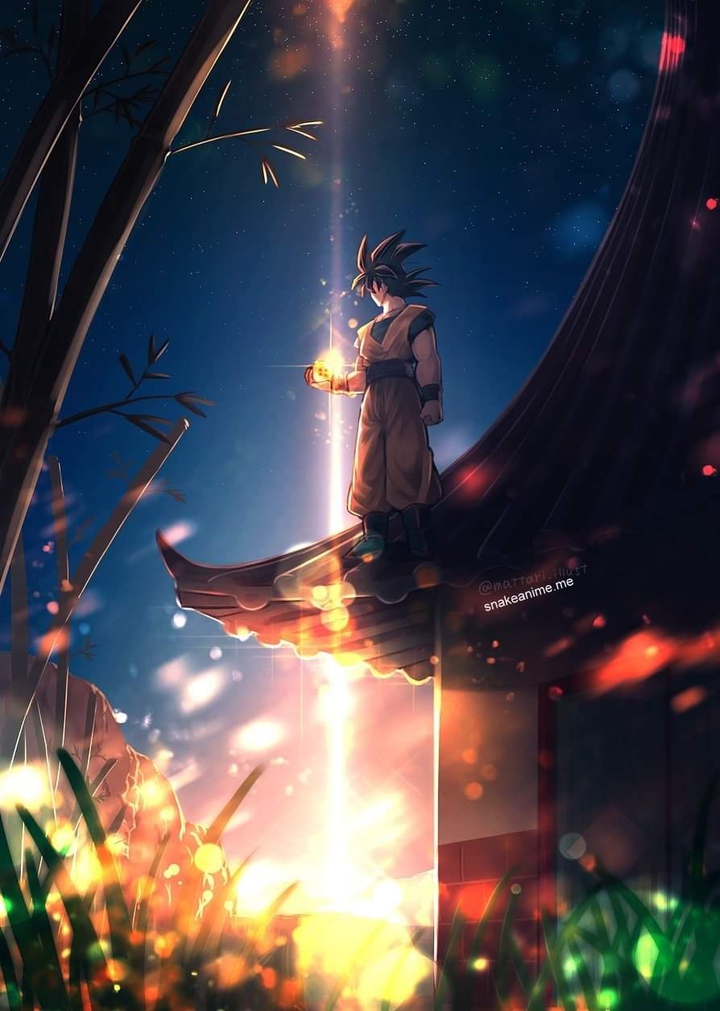 Goku the legend