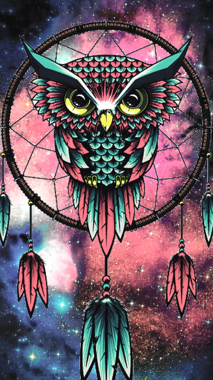 owl