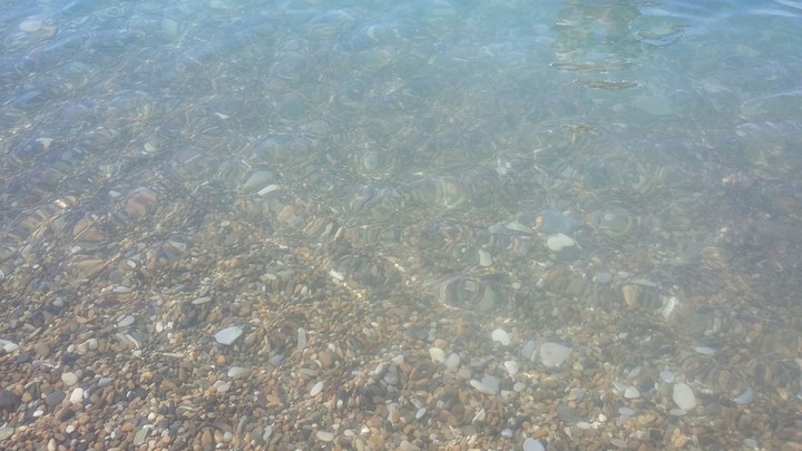 прозрачность воды