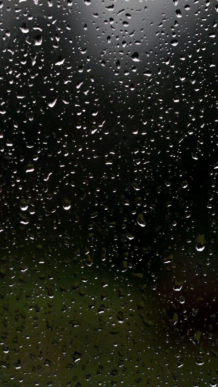 Weather