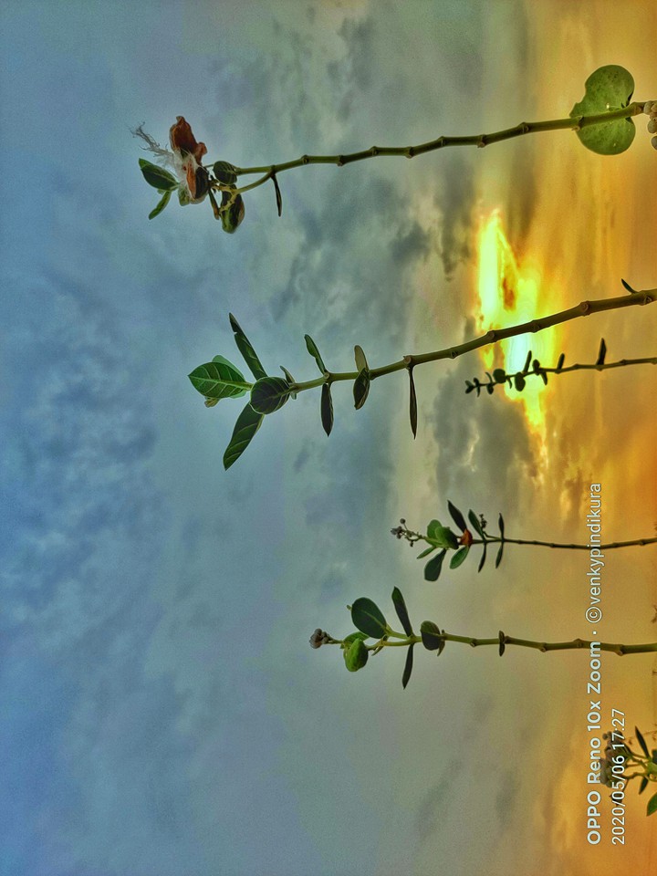 hdr