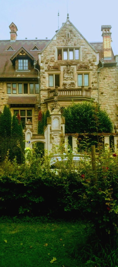tapety shrub, mansion
