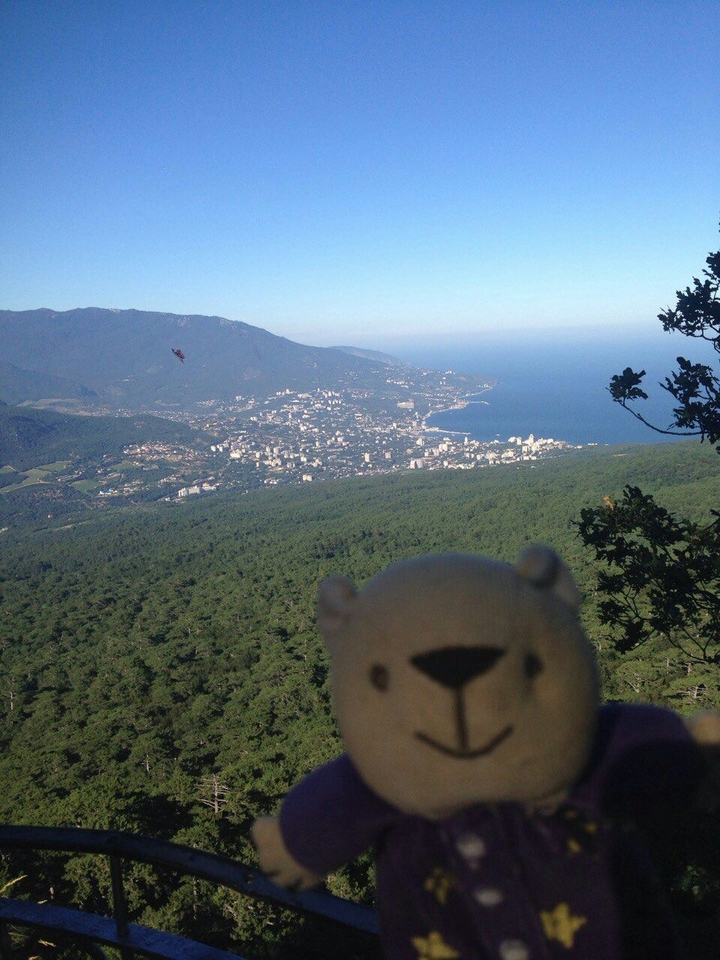 Bear