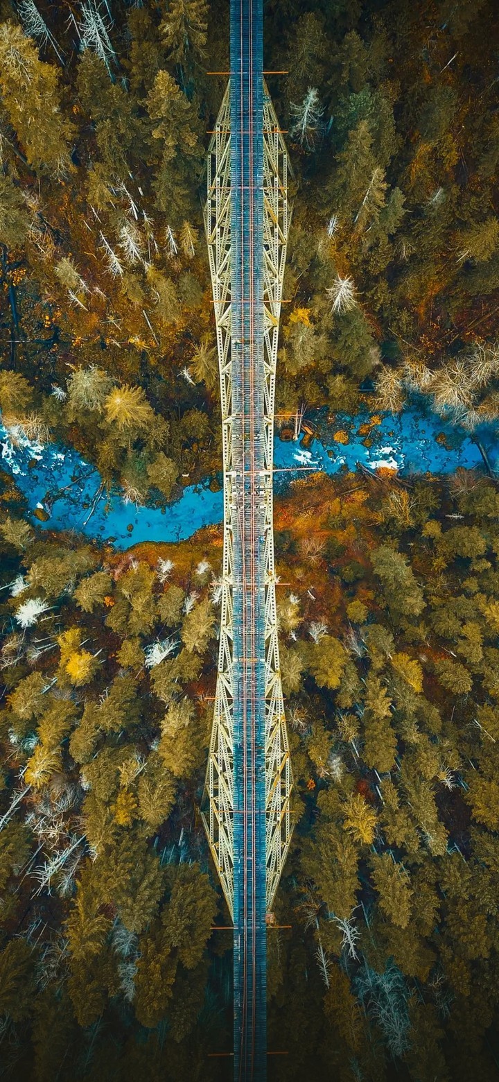 bridge