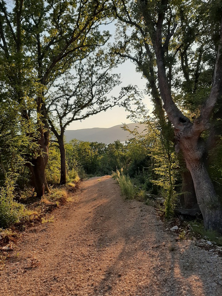 sunny evening