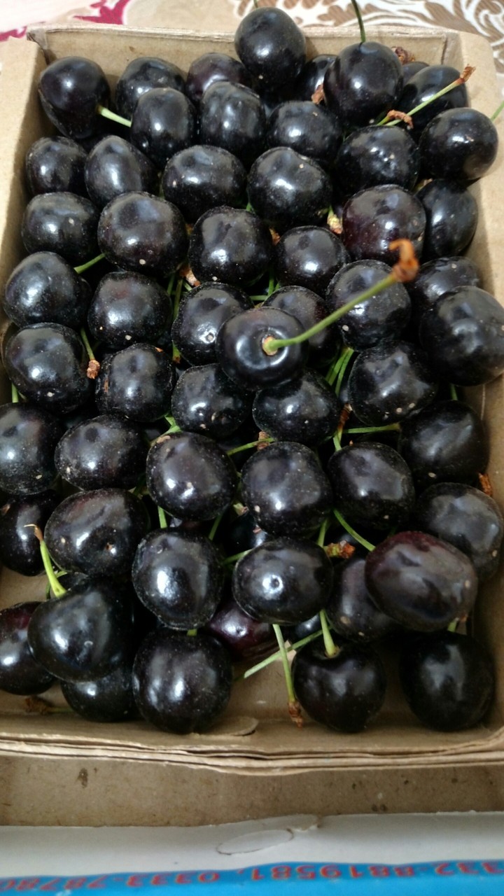 Fruits