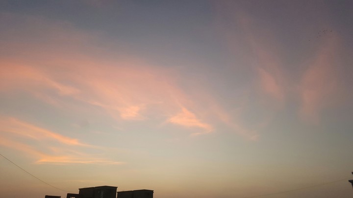 the colour of the dawn
