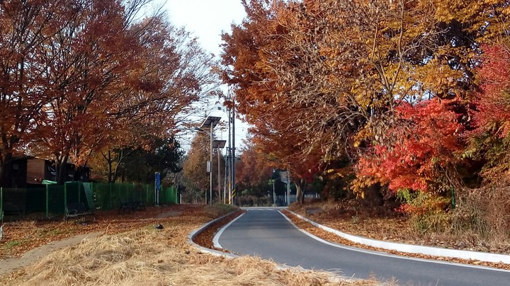 가을