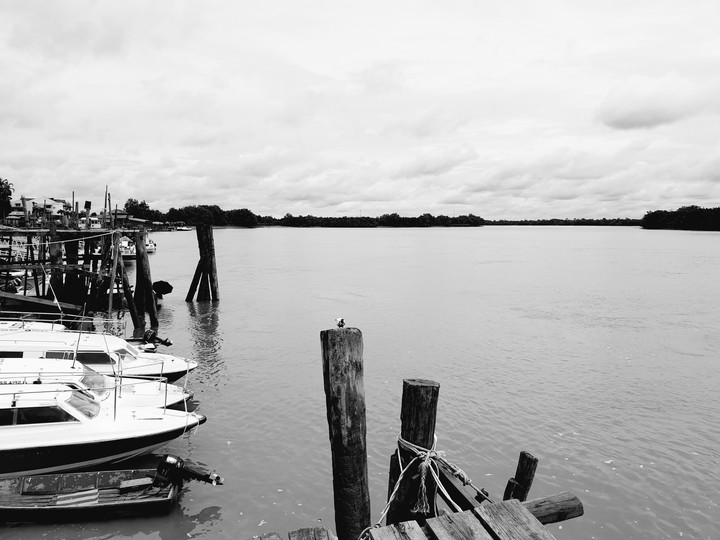 Sarikei's Life
