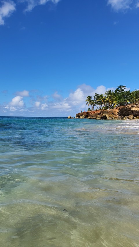 arecales, landscapes wallpapers