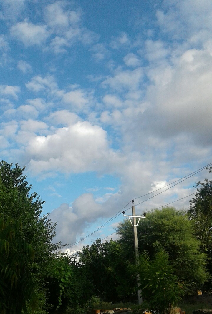 lovely osamm Mosam