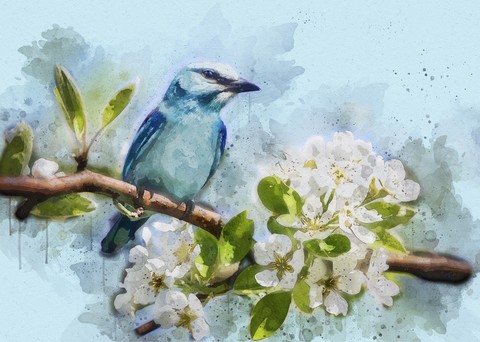 branch, bird wallpapers
