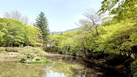 רקעים highland, landscapes