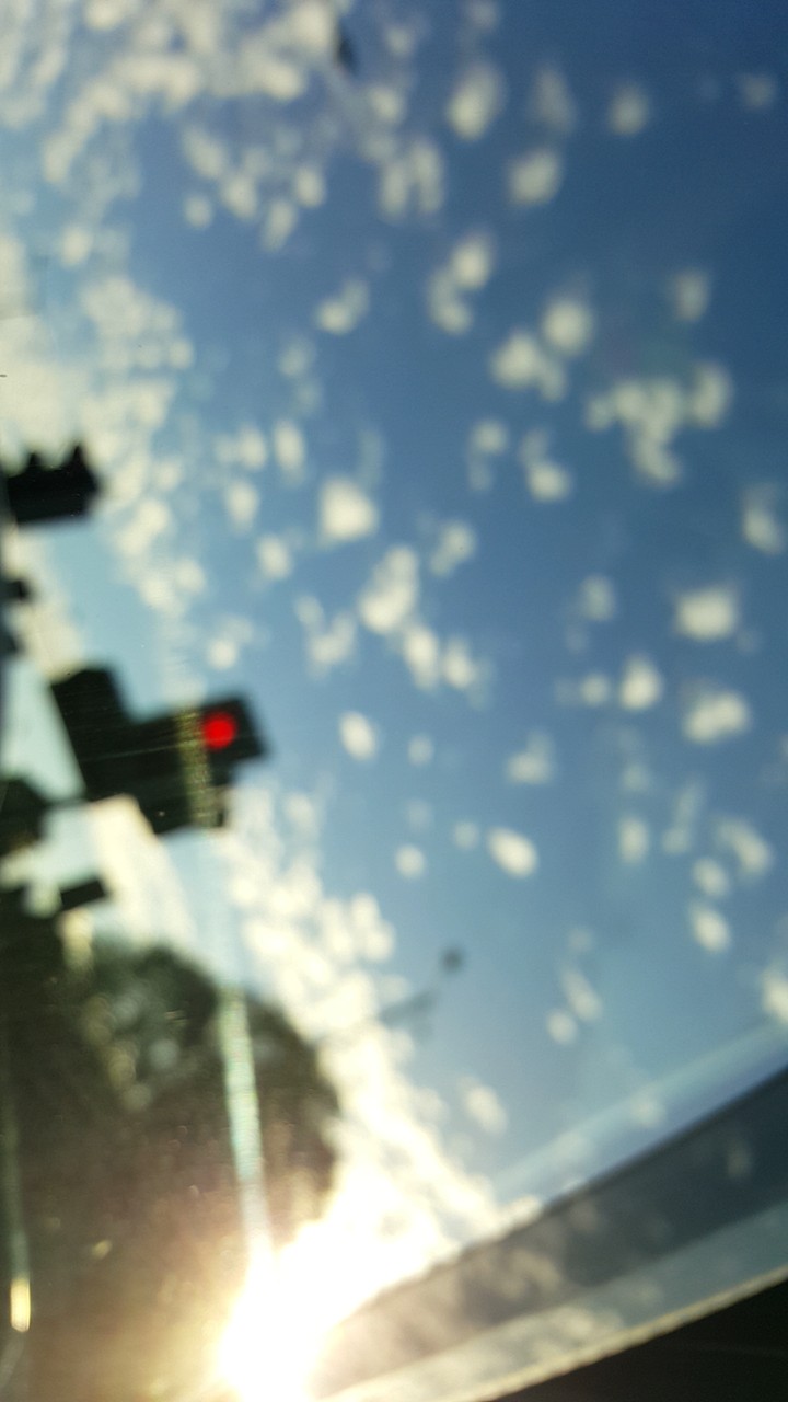 Sunny Day